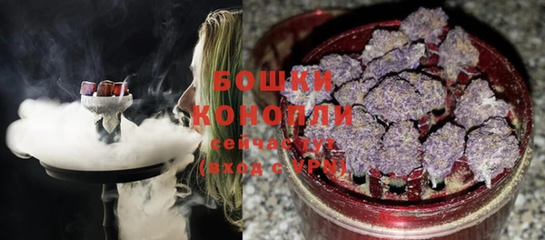 твердый Нягань