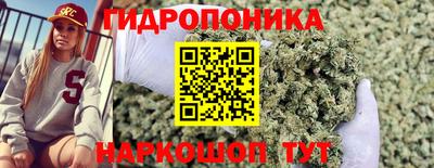 шишки Апшеронск