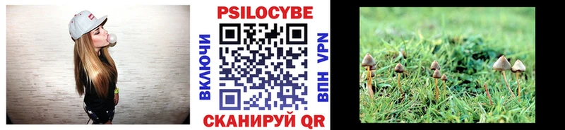 Псилоцибиновые грибы Cubensis Борзя