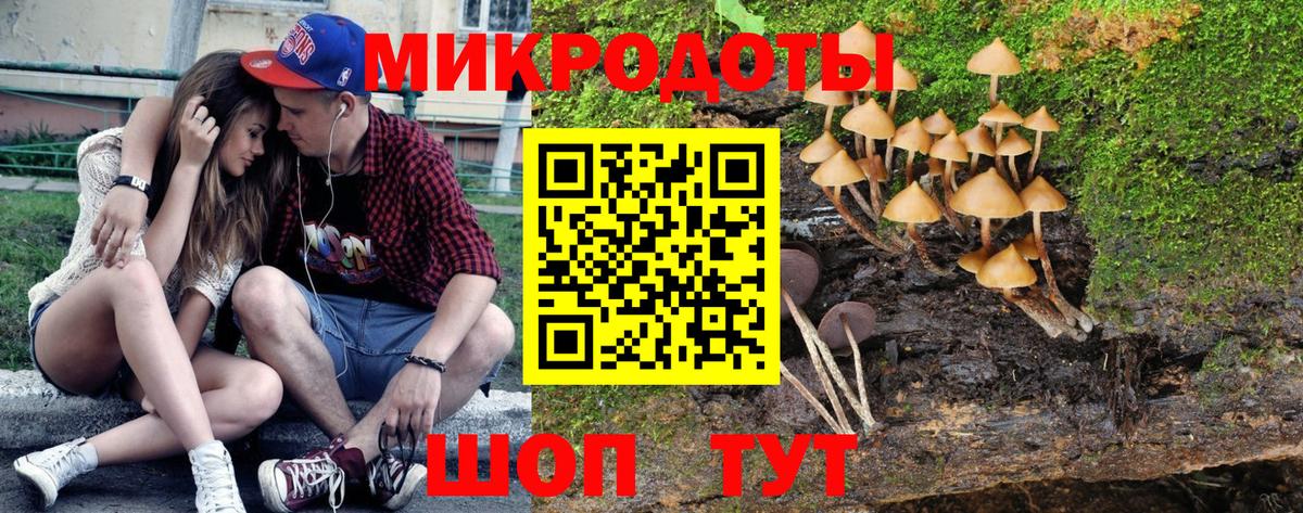 Псилоцибиновые грибы GOLDEN TEACHER Борзя