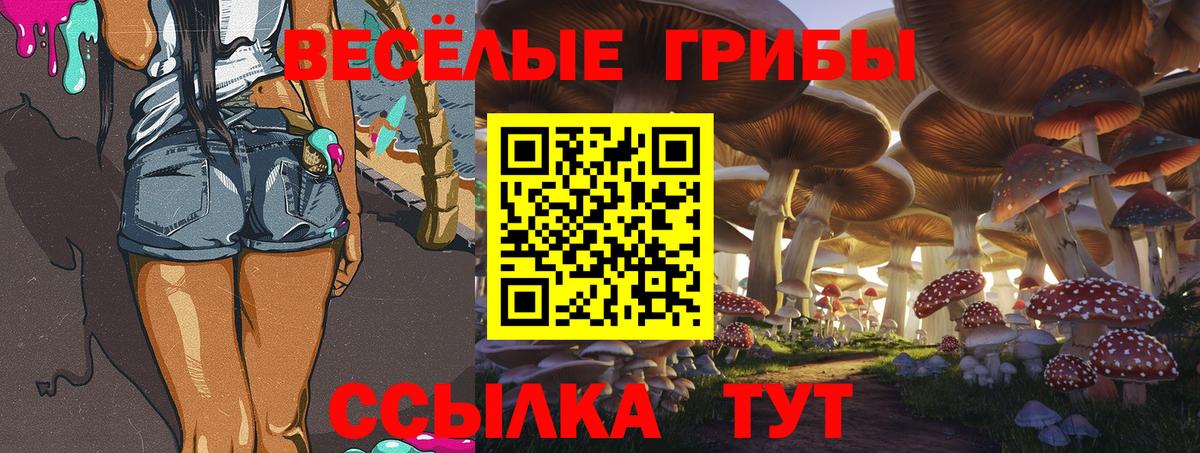 Псилоцибиновые грибы Psilocybine cubensis  Галлюциногенные грибы мицелий  Вход с VPN  Борзя 