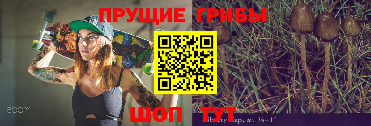 Галлюциногенные грибы прущие грибы  Псилоцибиновые грибы Cubensis  Борзя 