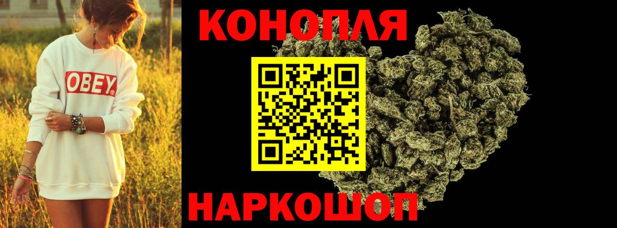 Конопля гибрид Борзя
